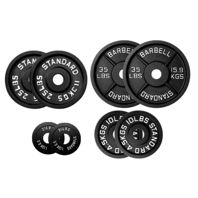 HAJEX Ensemble de Plaques de Poids Rondes en Fonte Standard 1 Pouce - Ensemble de 145 Lb - (2,5 Lb, 10 Lb, 25 Lb et 35 Lb)