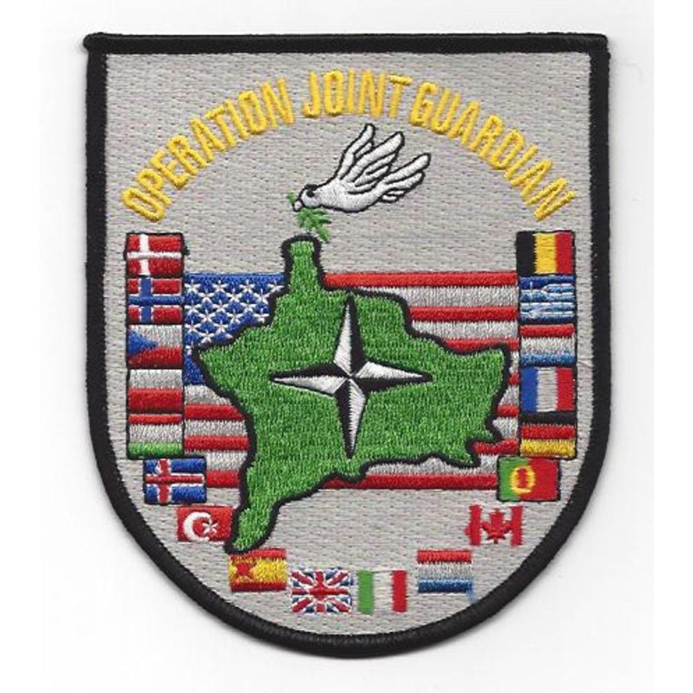 BOSNIA VETERAN Iron-On Patch  Biker Military Tactical Emblem White  Border