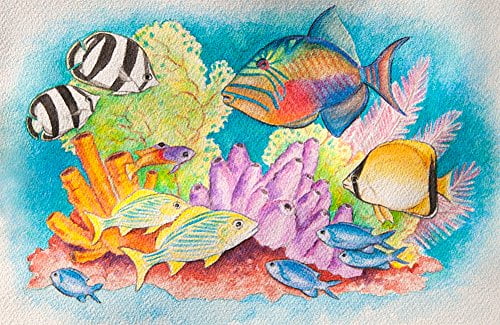 Color Swell Bulk Watercolor Paint Packs and Quality Wood Brushes, 18 Palettes, 8 Washable Colors per Palettes