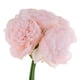 thumbnail image 4 of 1 manojo 5 piezas peonía simulación flores ramo hogar boda decoración Rosa claro, 4 of 7