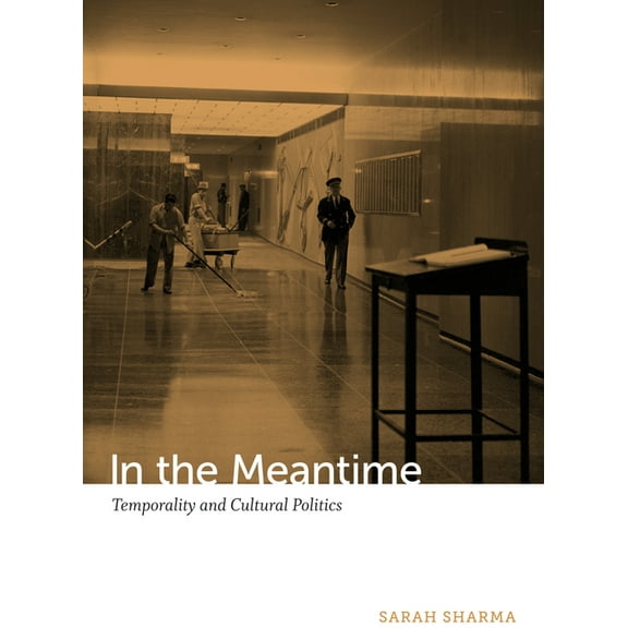 In the Meantime: Temporality and Cultural Politics, (Paperback)