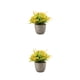 thumbnail image 3 of Árbol artificial del dinero Ounissouiy verde durabilidad duradera en aspecto realista, 3 of 6