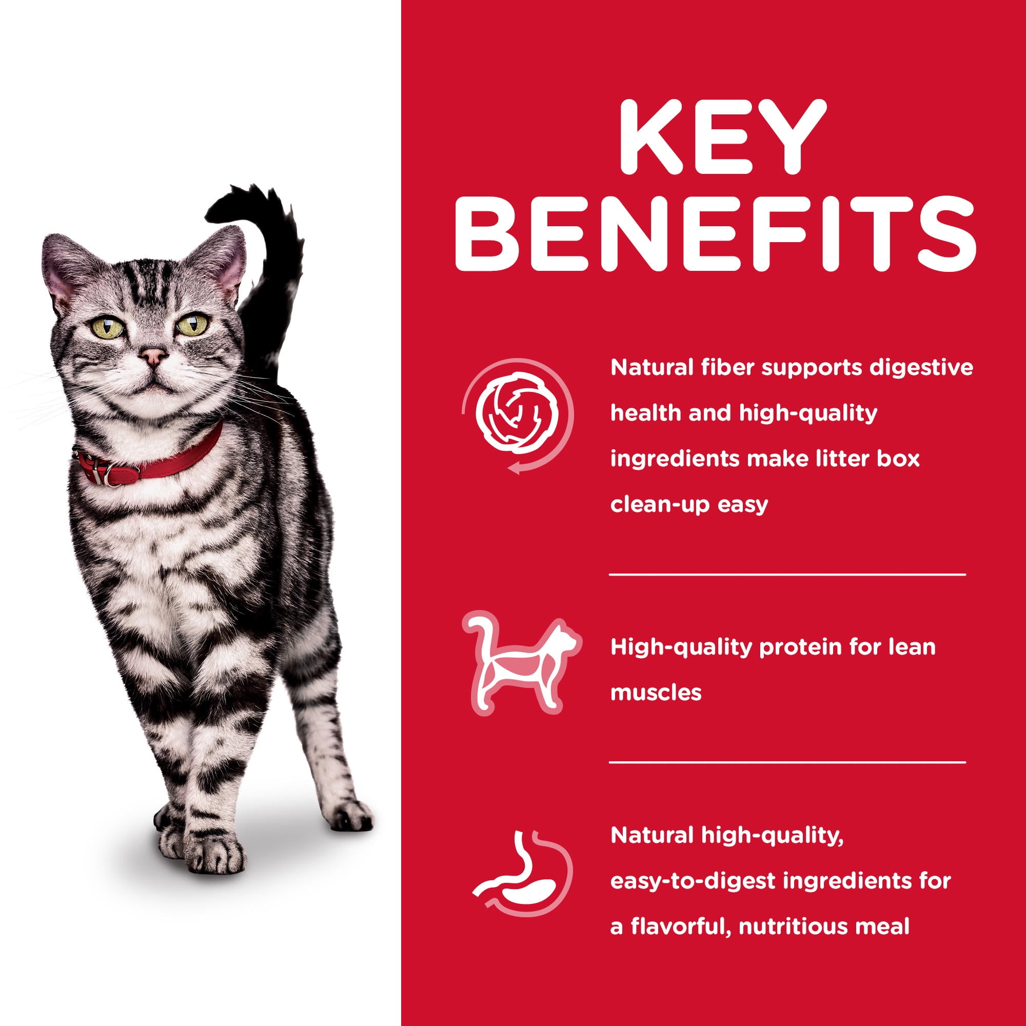 Science diet cat food near clearance me