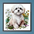 thumbnail image 1 of Pintura de diamante 5D DIY taladro redondo completo Bichon Frise decoración del hogar Art40x40cm, 1 of 9