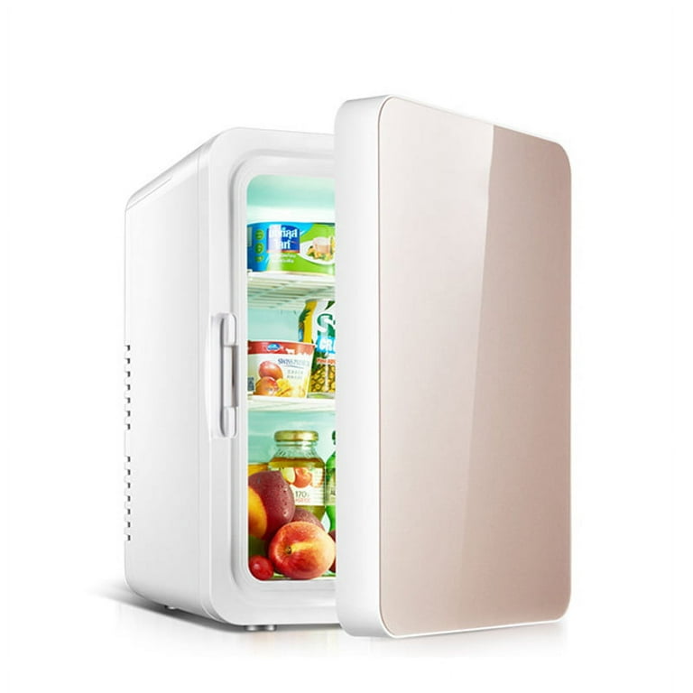 Mini Fridge 10L Cooler and Warmer Compact Refrigerator Portable Fridge 10L  for Skincare Foods Medications Breast Milk Travel Cooler and Warmer Compact  Refrigerator Portable Fridge Mini Silver 