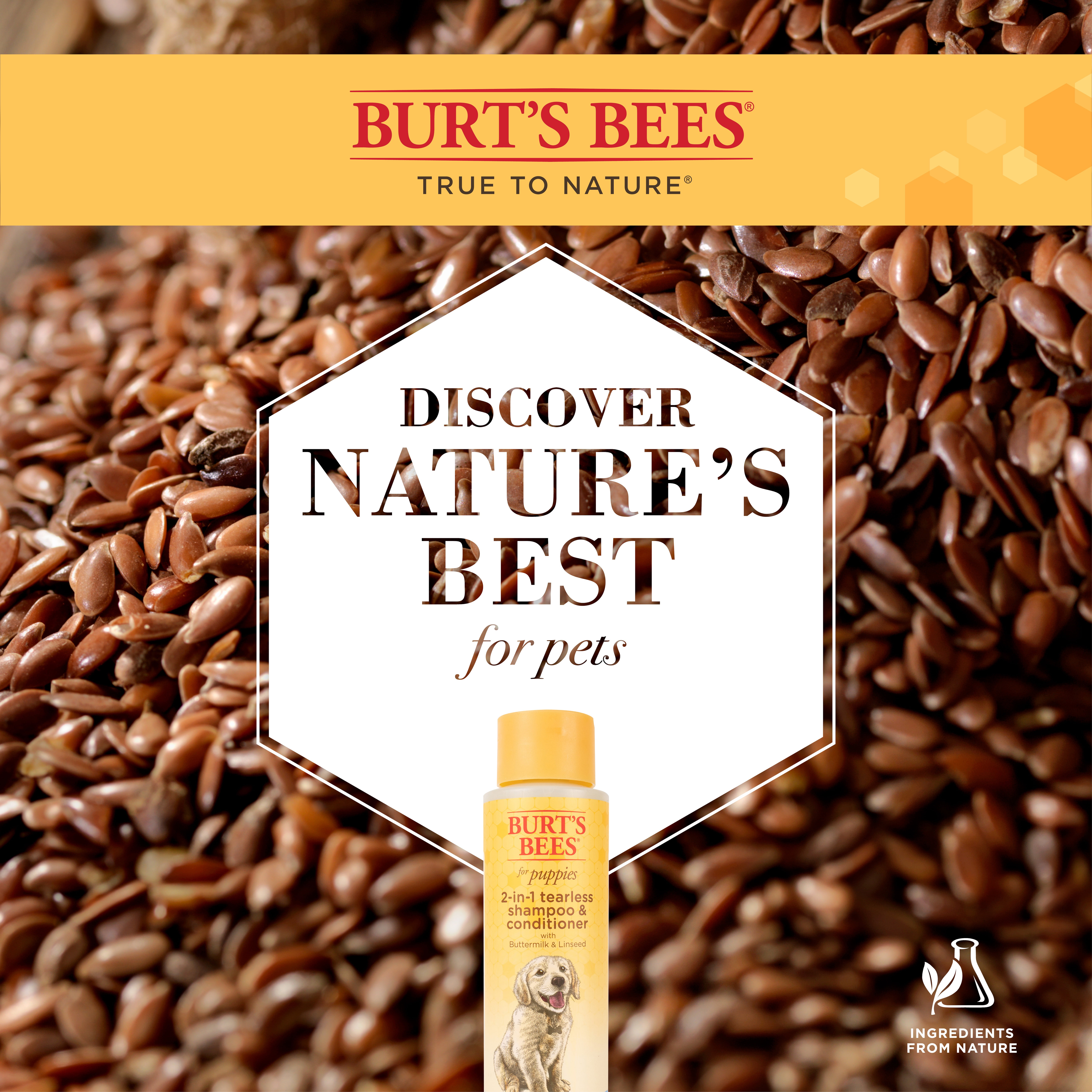 (3 pack) Burt's Bees Natural Pet Care Tearless 2 -1 Dog Puppy Shampoo Conditioner Buttermilk and Linseed Oil