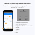 thumbnail image 6 of Tuya Zigbee Ultrasonic Water Meter DN20 with Valve LCD Display Water Quantity Flow Consumption Measure IP68 Waterproof,1 x Ultrasonic Water Meter kit, 6 of 8