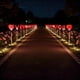 thumbnail image 1 of Luces solares LED para jardín, paquete de 6 | Decoración para exteriores, de plástico rojo y rosa, impermeables, para patio | Carga automática | Guirnalda de luces decorativas navideñas, 1 of 9