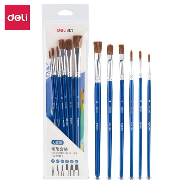 Deli paintbrush set, 6 brushes, suitable for beginners and professional painters