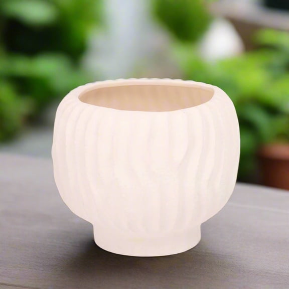 Alyzzabeth Ceramic Ridged Pot