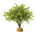 thumbnail image 2 of Exo Terra Boxwood Bush Terrarium Plant, 2 of 2
