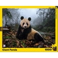 thumbnail image 2 of Giant Panda, 2 of 3