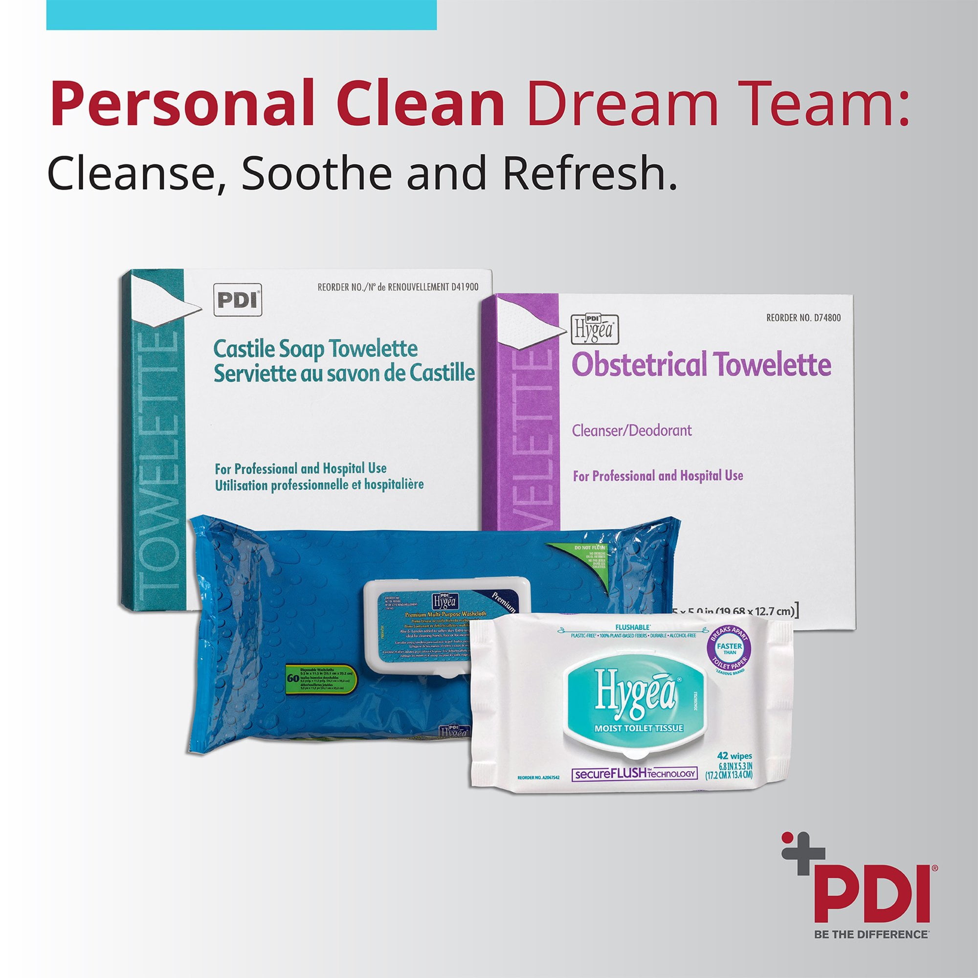 Hygea Flushable Personal Cleansing Cloths Incontinence Wipes, 5.3 in x 6.8 in, 48 Wipes, 12 Packs, 576 Total