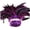 Purple, variant on Craft Feather, 100-Piece Natural Pack for Trimming, Gluing, Sewing, and Layering Apparel, Accessories, and DIY Projects