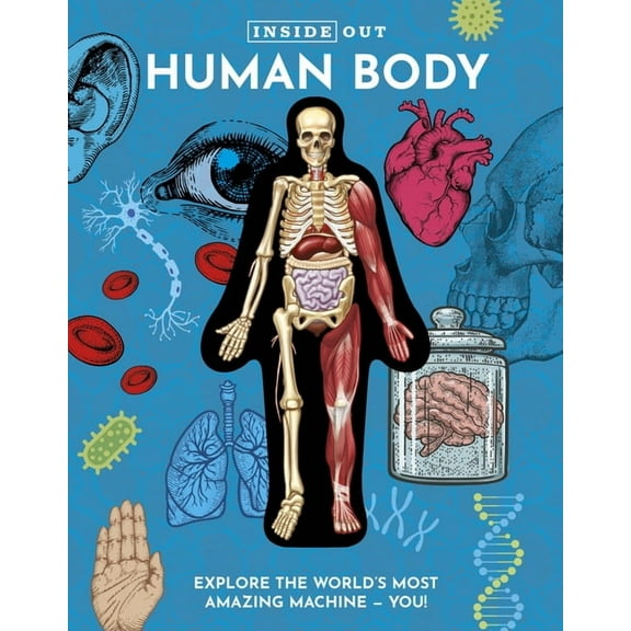 Inside Out, Chartwell Inside Out Human Body: Explore the World's Most Amazing Machine - You!, (Hardcover)