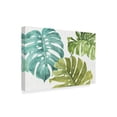 thumbnail image 2 of Trademark Fine Art 'Mixed Greens LXX' Canvas Art by Lisa Audit, 2 of 3