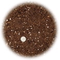 thumbnail image 3 of Gardenera Labs Premium Snake Plant Potting Soil Mix - 10 Quart - Green Sansevieria Trifascatia Zeylanica Plants, Plant or Re-Pot Your Snake Plant (2 Bags of 5 Quart), 3 of 5