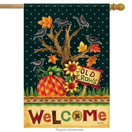 Left Side Banner - Old Crows Welcome House Flag Double Sided Decorative Banner 28
