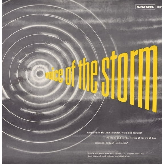 Various Artists - Voice of the Storm / Various - Soundtracks - CD