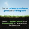 thumbnail image 3 of Wakefield Biochar Soil Conditioner - 1 Gallon, 3 of 6