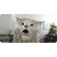thumbnail image 1 of Gray Cat Scared Face Photo License Plate, 1 of 1