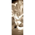 thumbnail image 3 of Blaustein, Alan 11x24 Black Modern Framed Museum Art Print Titled - Florison - 75, 3 of 5