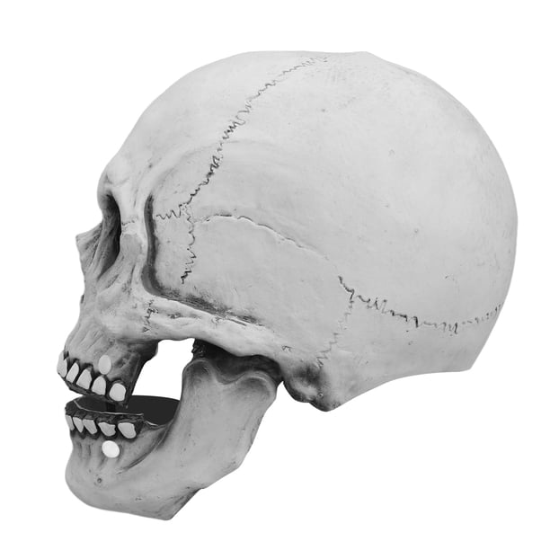 Máscara De Calavera, Máscara De Calavera Estilo Calavera Mandíbula Móvil Mandíbula Móvil Para Fiesta
