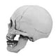 thumbnail image 1 of Máscara De Calavera, Máscara De Calavera Estilo Calavera Mandíbula Móvil Mandíbula Móvil Para Fiesta, 1 of 7