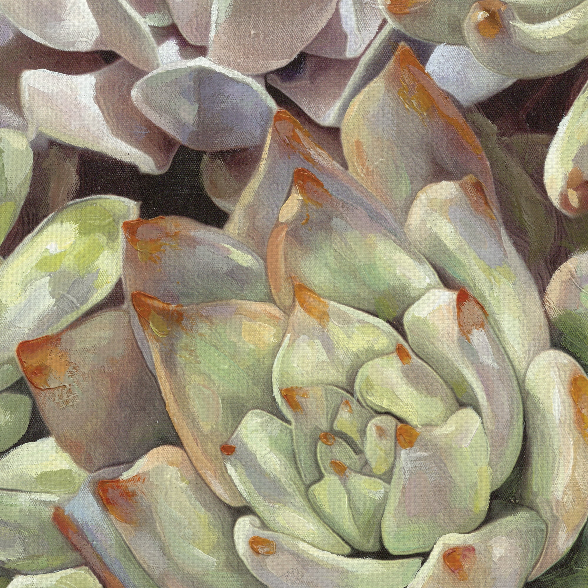 Desert Garden Panel I by Dixon Design Group Wrapped Canvas Painting Art Print