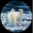 thumbnail image 2 of Tift, Jeff 20x20 Gold Ornate Wood Framed with Double Matting Museum Art Print Titled - Polar Bear, 2 of 4