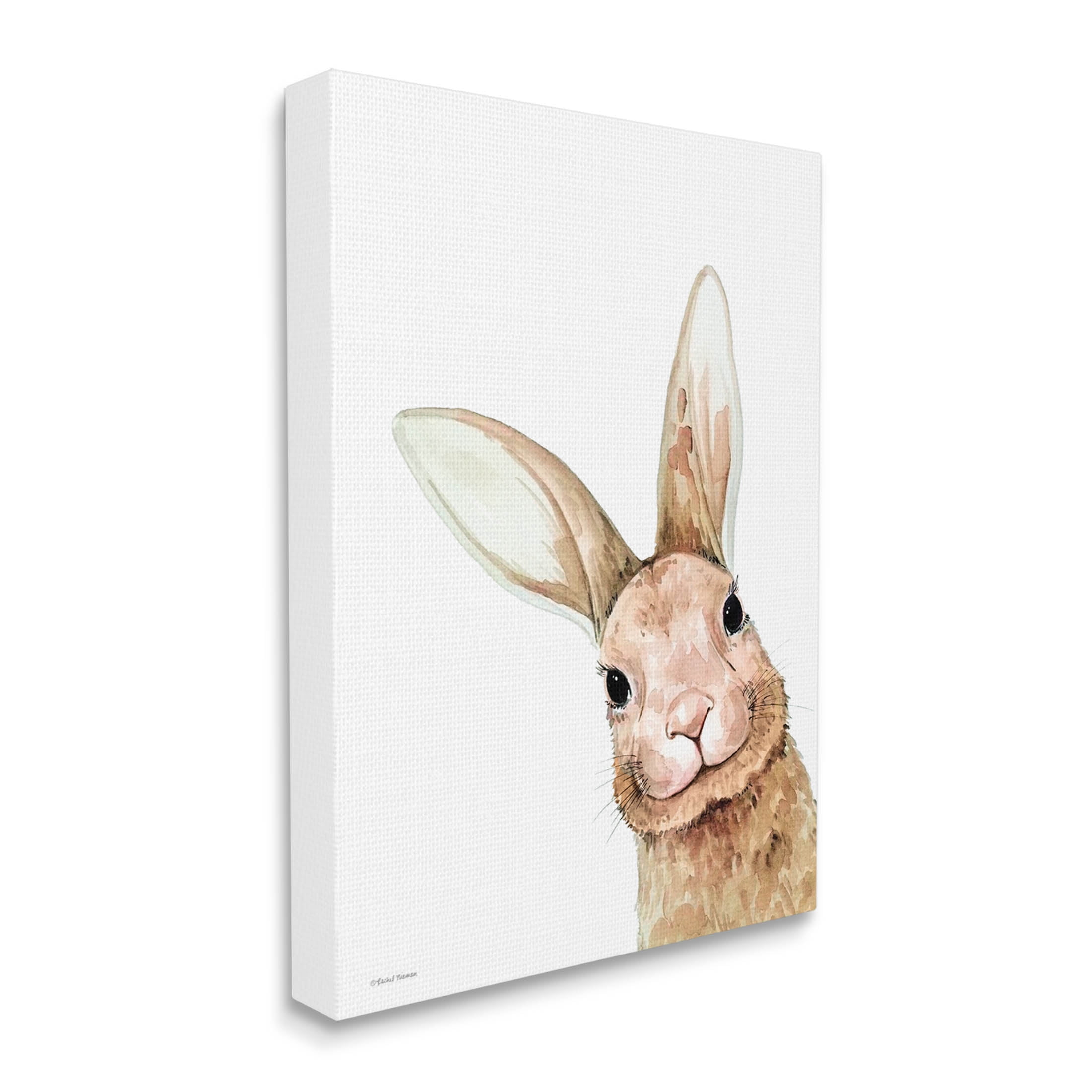 Stupell Industries Smiling Bunny Wildlife Graphic Art Gallery Wrapped Canvas Print Wall Art, Design by Rachel Nieman