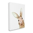 thumbnail image 3 of Stupell Industries Smiling Bunny Wildlife Graphic Art Gallery Wrapped Canvas Print Wall Art, Design by Rachel Nieman, 3 of 7