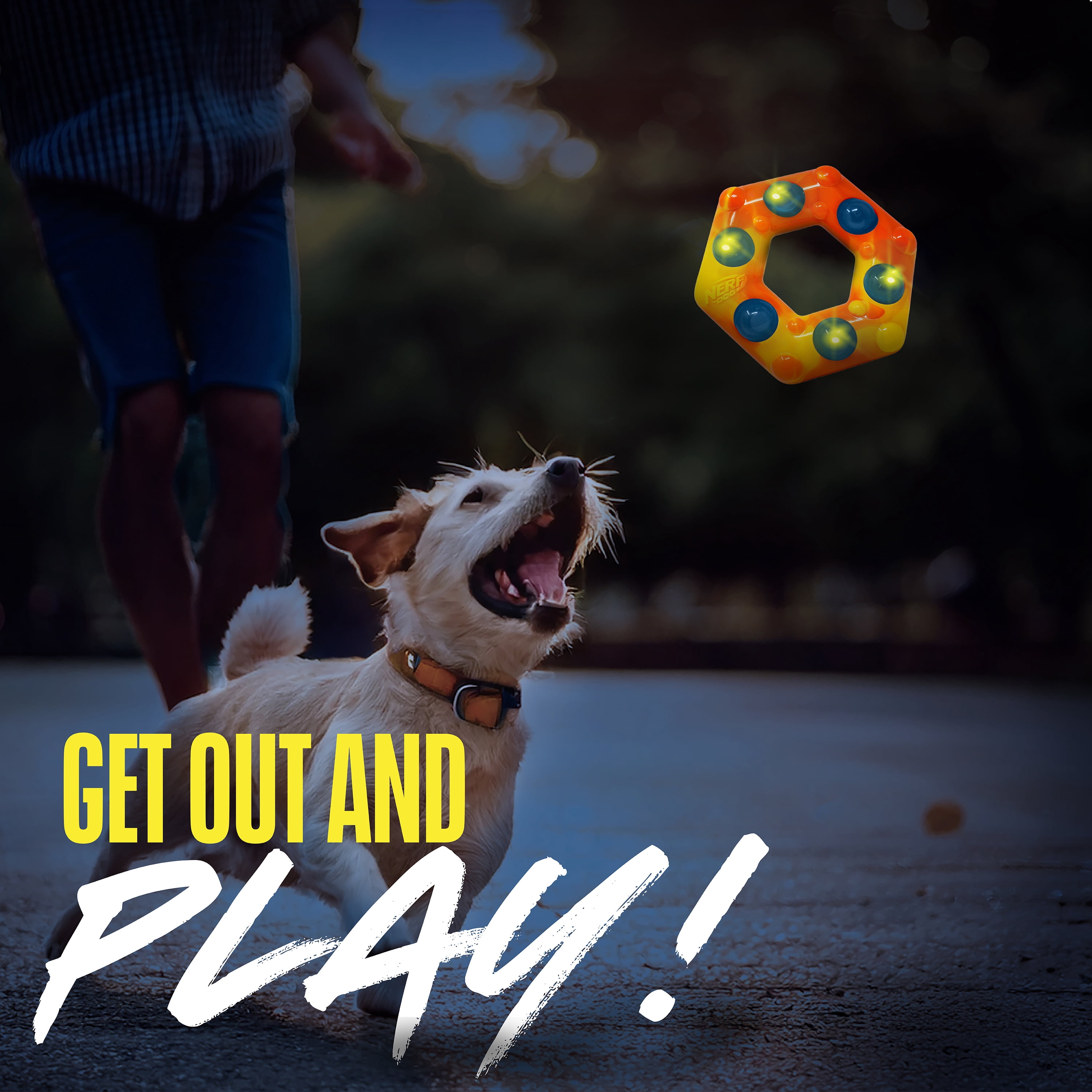 Nerf Dog LED Light Up & Squeak Hex Ring Chew Toy, 6 inch