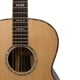 thumbnail image 2 of ColoMX 12 piezas Canting de guitarra de guitarra de 12 piezas Cuerdas de guitarra folk, 2 of 7