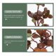 thumbnail image 3 of UPGRATOR Planta Artificial Para Terrario De Reptiles Decorativa Color Resistente Y Duradera, 3 of 7