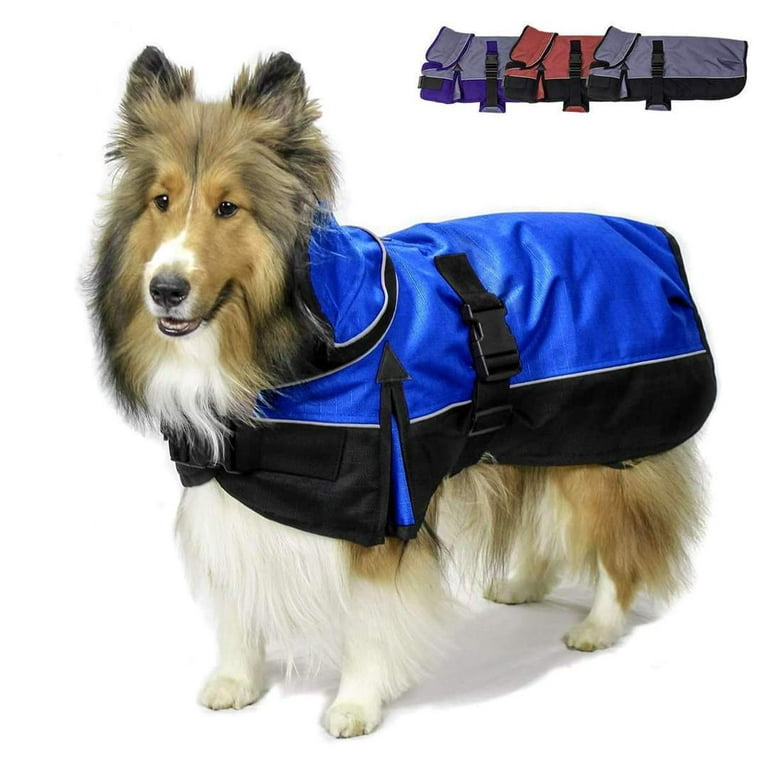 Derby Originals Ruff Pup 1200D Medium Weight Winter Dog Coat with Neck Cover 220g and Harness Compatible Opening