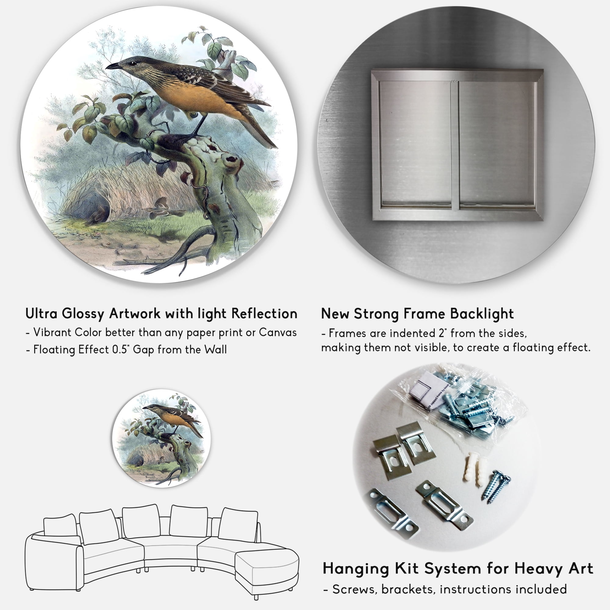 Designart 'The Paradise Birds on a Tree Branch' Traditional Circle Metal Wall Art 36x36 - Disc of 36