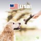 thumbnail image 3 of Juguete Masticable Benebone Madera Bacon Duradero para Perro Pequeño, 3 of 6
