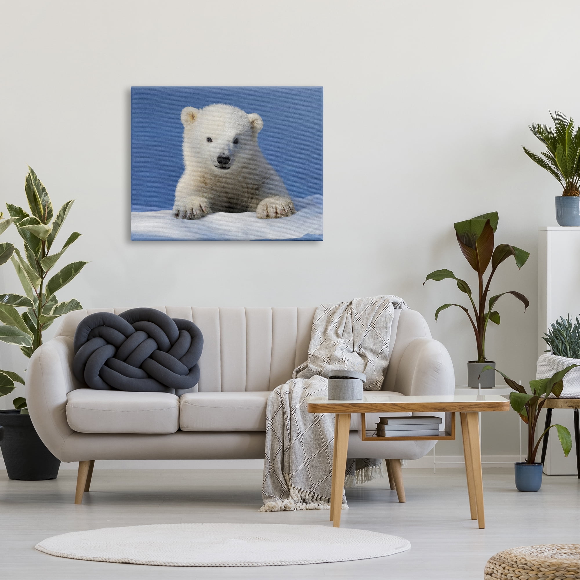 Stupell Industries Baby Polar Bear Peeking Animals & Insects Photography Gallery Wrapped Canvas Print Wall Art, 40 x 30