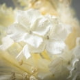 thumbnail image 2 of 18.25"H Sullivans Hydrangea Pampas Small Wreath, Cream, 2 of 5