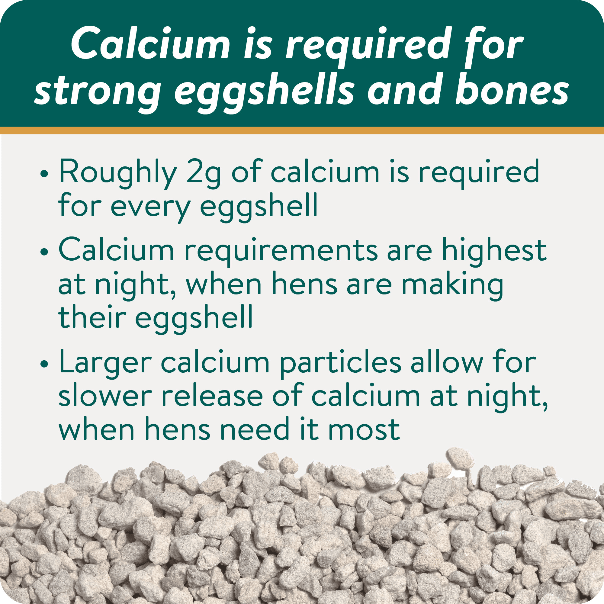 FlockLeader Shell & Bone Builder® for Chickens – All Natural Calcium Supplement for Laying Hens to Support Strong Eggshells and Bone Health, Poultry Mineral Feed for Chickens, 5 Pounds