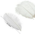 thumbnail image 2 of White Ostrich Feathers 15 Pieces White Feathers Ostrich Feathers for Crafts Wedding Party Centerpieces, Feather Accessories (20-25cm), 2 of 7