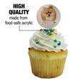 thumbnail image 3 of Pomeranian Dog Breed Cupcake Picks Toppers Decoration Set of 6, 3 of 7