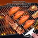 thumbnail image 5 of Pinchos de metal para asar a la parrilla Tenedor de acero inoxidable para asar a la parrilla Pinchos para carnes y verduras Juego de tenedor para barbacoa y cepillo para aceite Akmoler, 5 of 9
