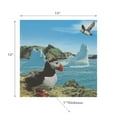 thumbnail image 2 of 20 Pack Luncheon 3 Ply Napkin Puffin - Set of 6, 2 of 2