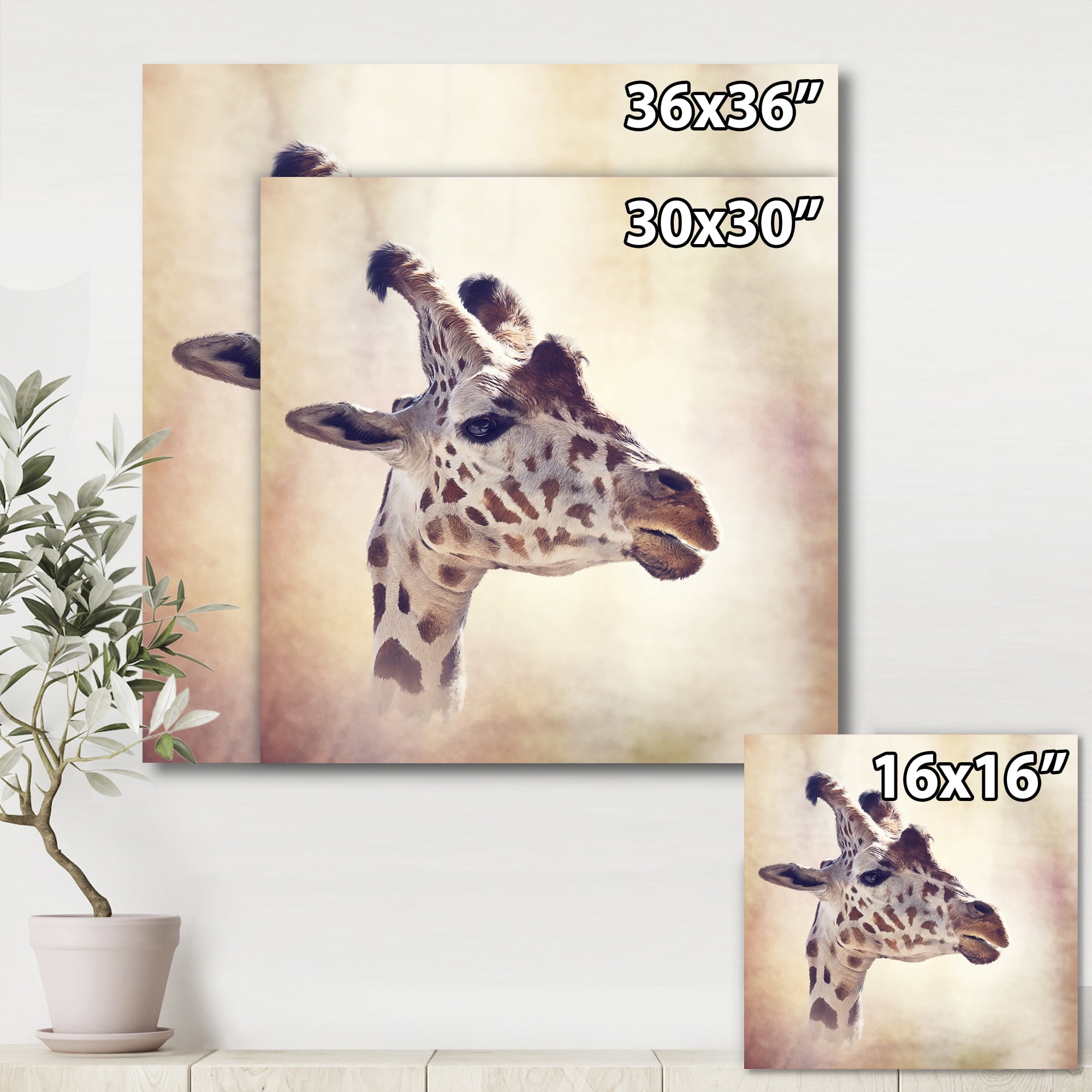 Close Up Portrait of A Giraffe VII 36 in x 36 in Photography Canvas Art Print, by Designart