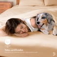 thumbnail image 3 of Juego de Sábanas de Bambú Dreamlab, Ropa de Cama Ultra Suave, Fresca, Hipoalergénica, Ecológica, Sábanas Matrimoniales de Bambú, Color Rosa Palo, 3 of 10