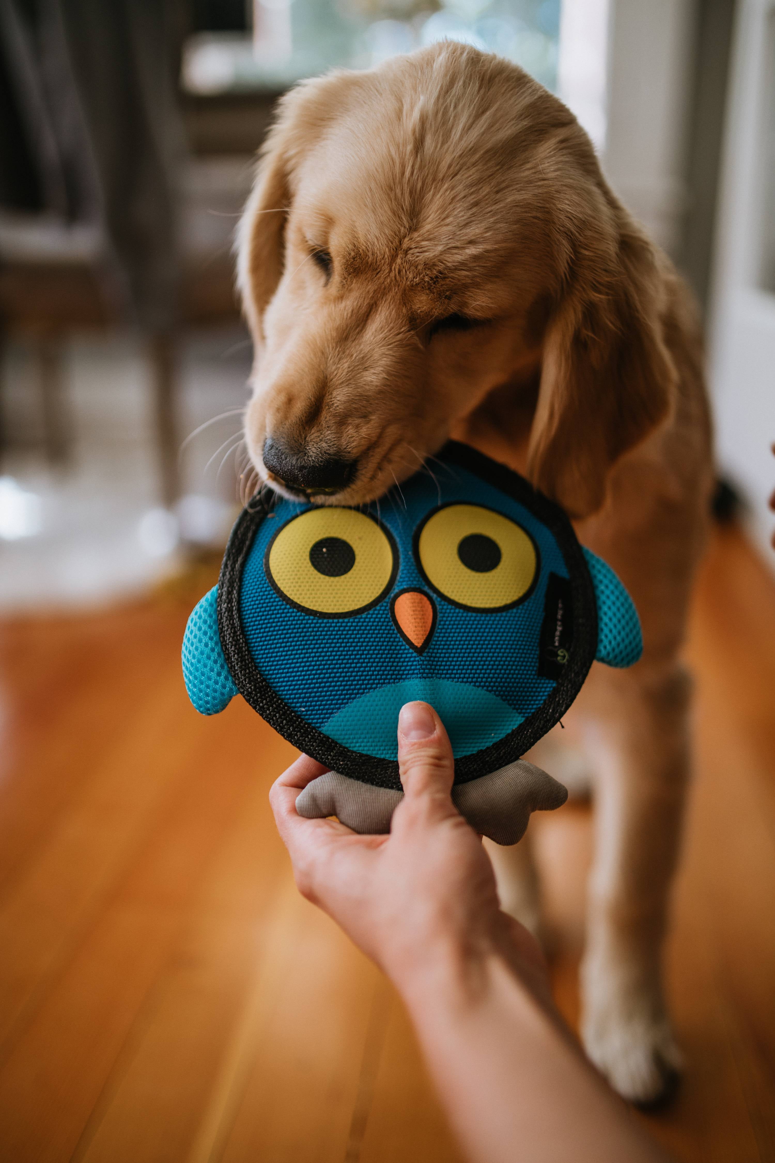 Hyper Pet Fire Hose Flyers Owl Plush Squeaky Dog Toy with Squeaker, Owl