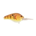 thumbnail image 6 of Spro SBD70HCW Russ Lane Fat Papa 70 Crankbait 2 3/4" 3/4 oz Honey, 6 of 6