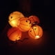 thumbnail image 5 of Ounissouiy Linterna de papel de calabaza plegable 3D, decoraciones de Halloween, Festival de fantasmas, atmósfera, murciélago, araña, farol de papel, Type4 NO4 Ounissouiy JJ25685-01, 5 of 6